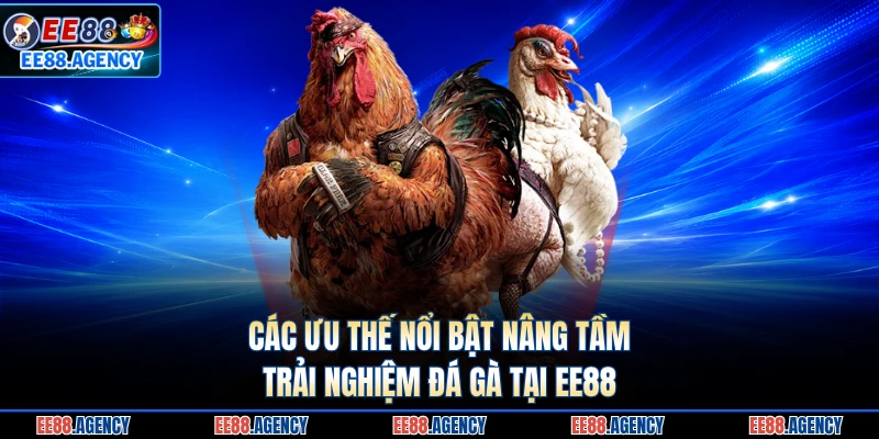 Các ưu thế nổi bật nâng tầm trải nghiệm đá gà tại EE88